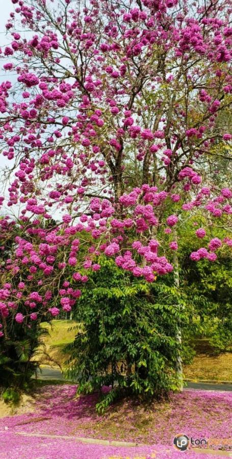 Piccola Pousada Águas de São Pedro 외부 사진